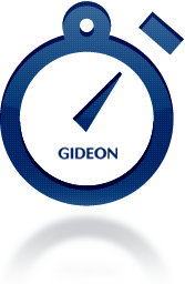 GIDEON Realtime Scan image